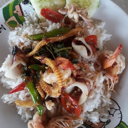 กระเพราทะเล