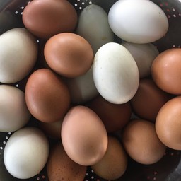 ไข่ไก่ต้ม 1ฟอง