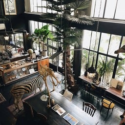 the mustanng nero The Mustang Nero