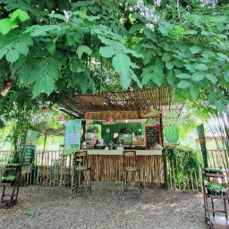 ร้านฮ่มไผ่