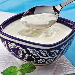 PLAIN YOGURT