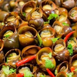 หอยนาหวานนึ่งสมุนไพรซีฟู้ด