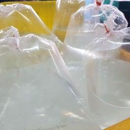 น้ำมะพร้าวสด นายสอาด