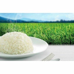 ข้าวหอมมะลิ