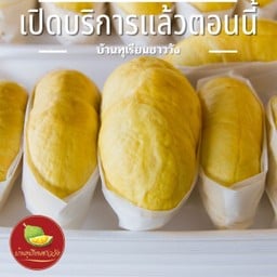 ทุเรียนแกะเนื้อจันทร์ 017 โลตัส ปทุมธานี