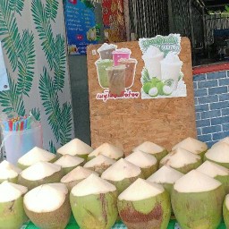 สุวิมล มะพร้าวน้ำหอมบ้านโพธิ์