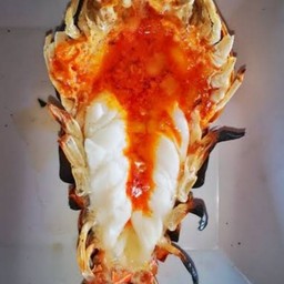 ชารีฟทะเลเผา