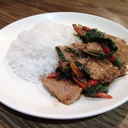 ข้าวกระเพราเนื้อห่านเจ