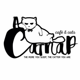 A Cat Nap : Café & Cats