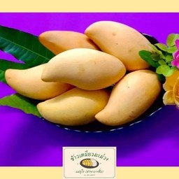 มะม่วงน้ำดอกไม้ 1 กิโลกรัม