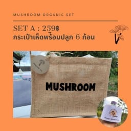 สวนเห็ดเงินล้าน