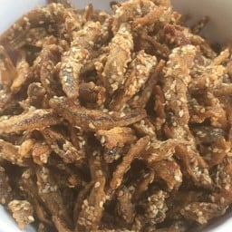 ปลากรอบงา