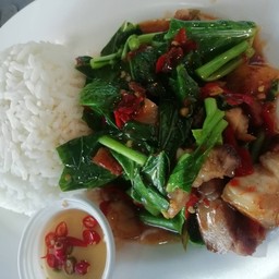 ผัดคะน้าราดข้าว