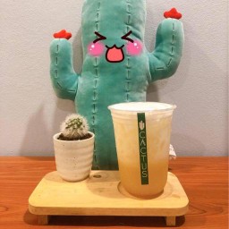 Cactus coffee & tea