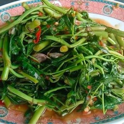 ผักบุ้งไฟแดง