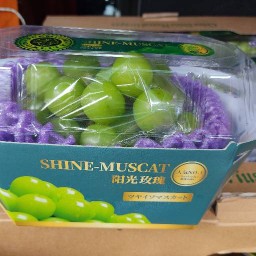 ผลไม้น้องแอร์