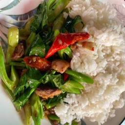 ข้าวคะน้าปลาเค็ม