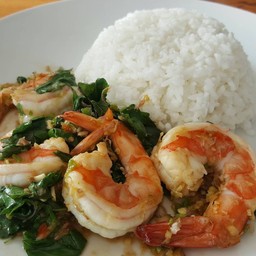กระเพรากุ้ง