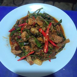 ผัดเผ็ดหมูป่า