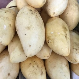 มะม่วงน้ำดอกไม้สีทอง