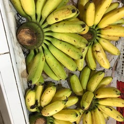 กล้วยไข่