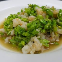 ดอกขจรผัดกุ้งสับ
