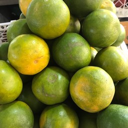 ส้มเบอร์6