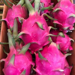 แก้วมังกร