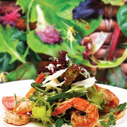 Grilled Prawns Mixed Salad Manchego Cheese