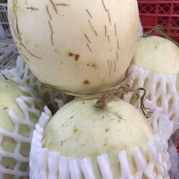 แคนตาลูป