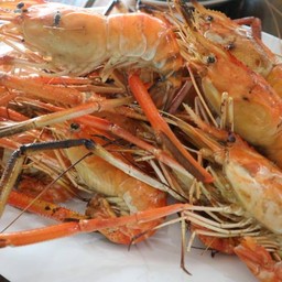 กุ้งแม่น้ำเผา1โล