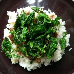 ผัดกระเพรากรอบราดข้าว