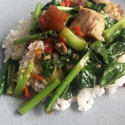 ผัดคะน้าราดข้าว