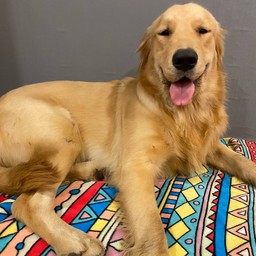 ทิปน้องเทอร์โบยิ้มหวาน