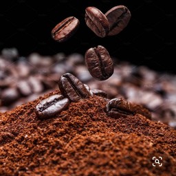 เมล็ดกาแฟ อาราบิก้า ( คั่วกลาง ) 300กรัม