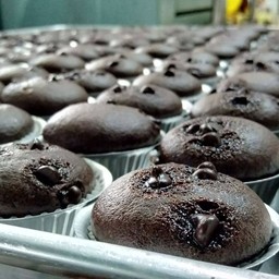 มินิ ชอคโกแลต มัฟฟิน mini coco chocolate chip muffins