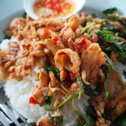 ข้าวราดกะเพราหมูชิ้น