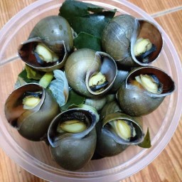กินแกล้ม
