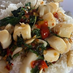 ข้าวกระเพราปลาหมึก