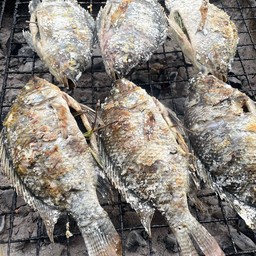 ส้มตำไก่ย่างลุงมอส