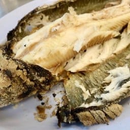 ปลาช่อนเผา (ตัว)