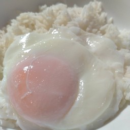 ไข่ดาวน้ำ