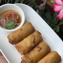 ปอเปี๊ยะทอด