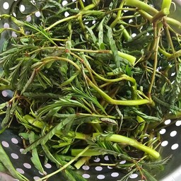 กระเฉดไฟแดง กับข้าว