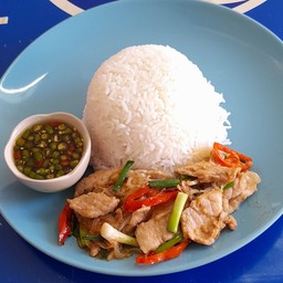 ผัดพริกอ่อนราดข้าว