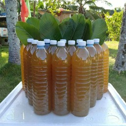 ป๊อปอาย ปิ่นเกล้า