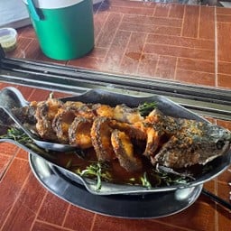 แกงส้มแป๊ะซะปลาช่อนทอด