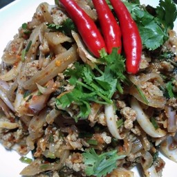 ข้าวราดลาบ