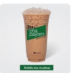 ชาพะยอมหนองใหญ่ 6