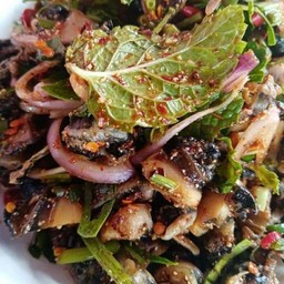 ก้อยหอย